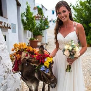 Meet your Posher, Casey